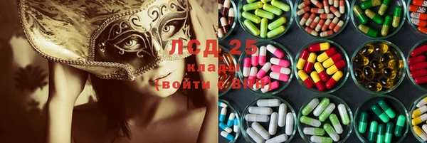 ГАЛЛЮЦИНОГЕННЫЕ ГРИБЫ Богородицк