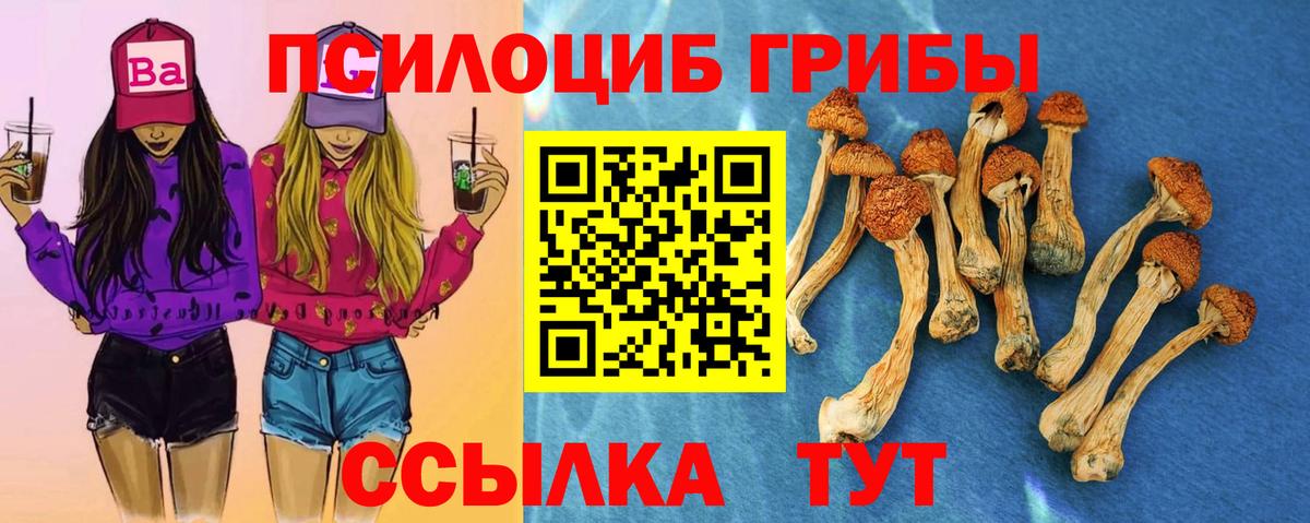 Галлюциногенные грибы Cubensis Бугульма